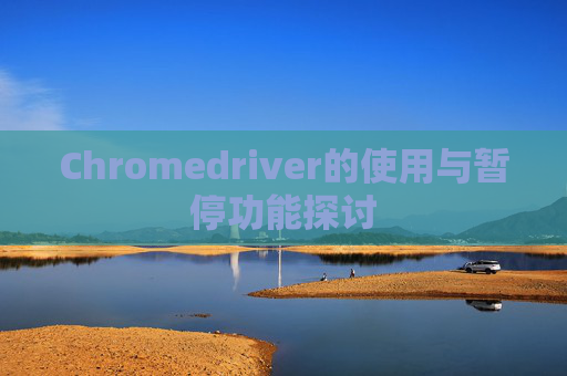 Chromedriver的使用与暂停功能探讨